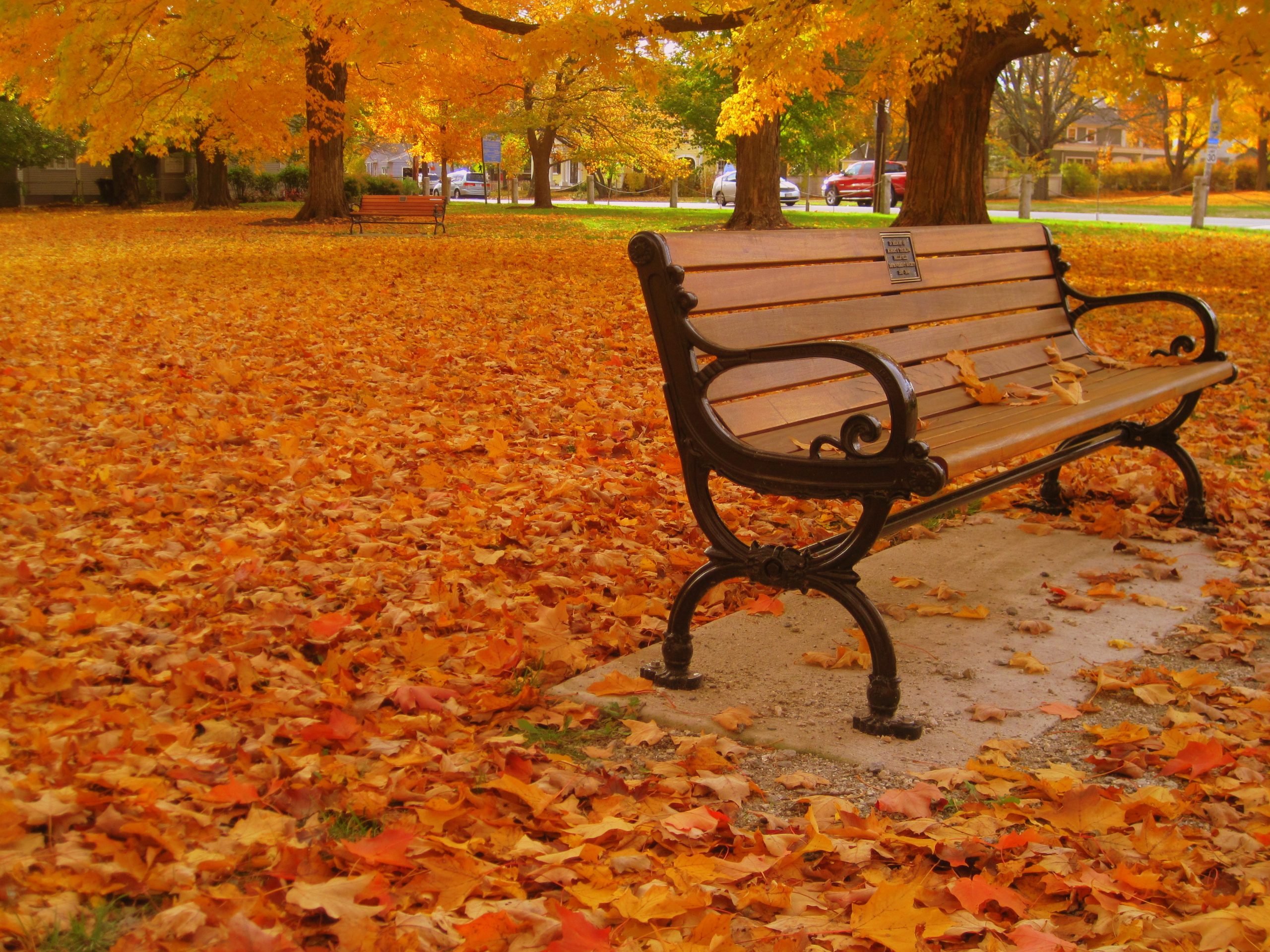 Fall Park Bench 2 (user submitted)