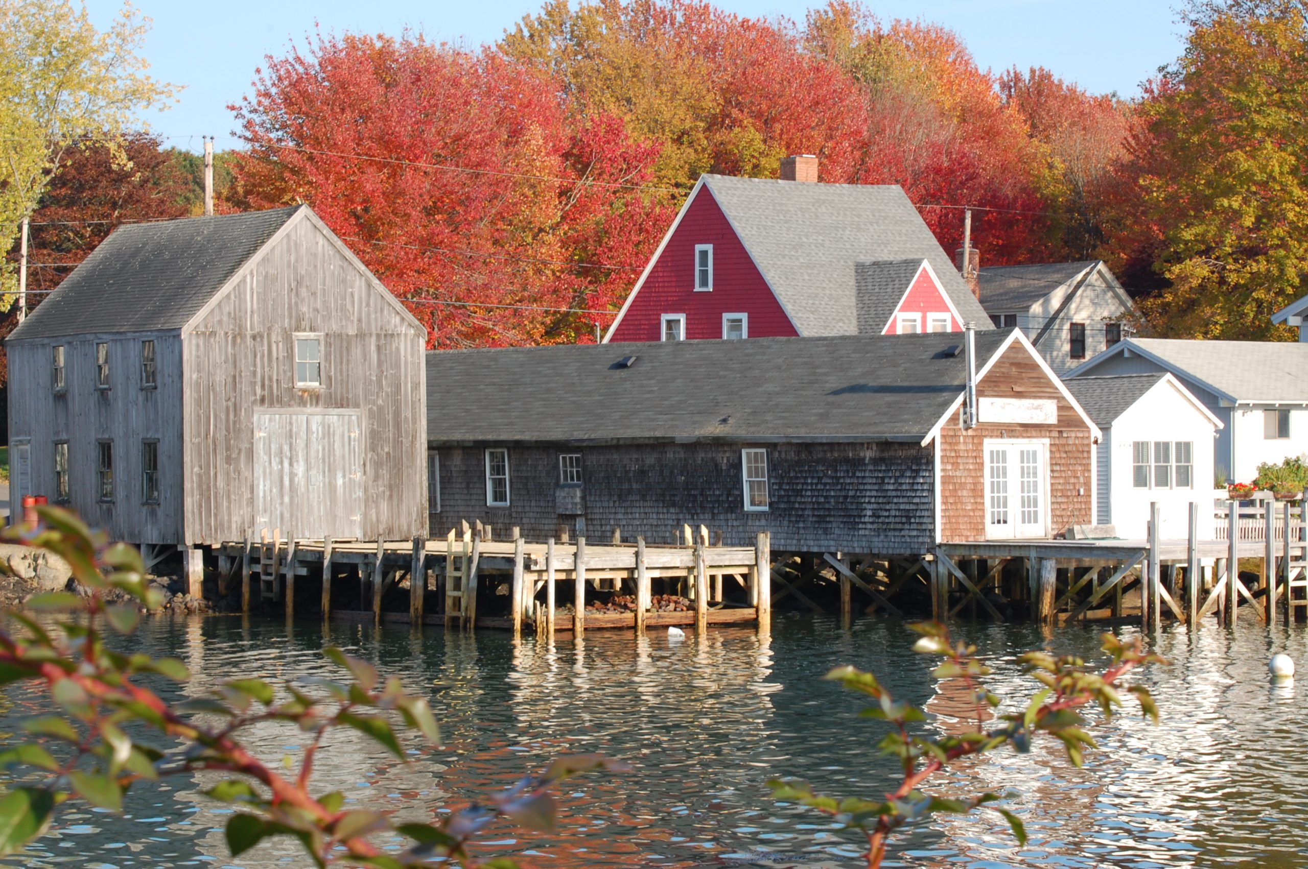 Fall In Cape Porpoise (user submitted)