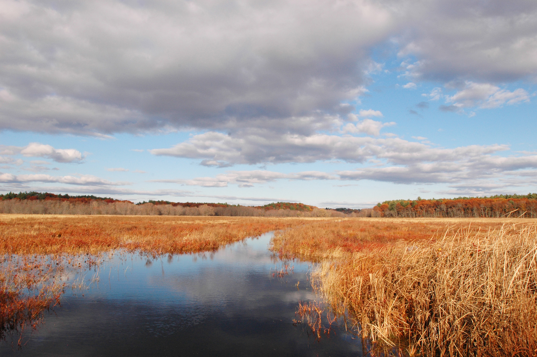 Late Fall At The Marsh (user submitted)