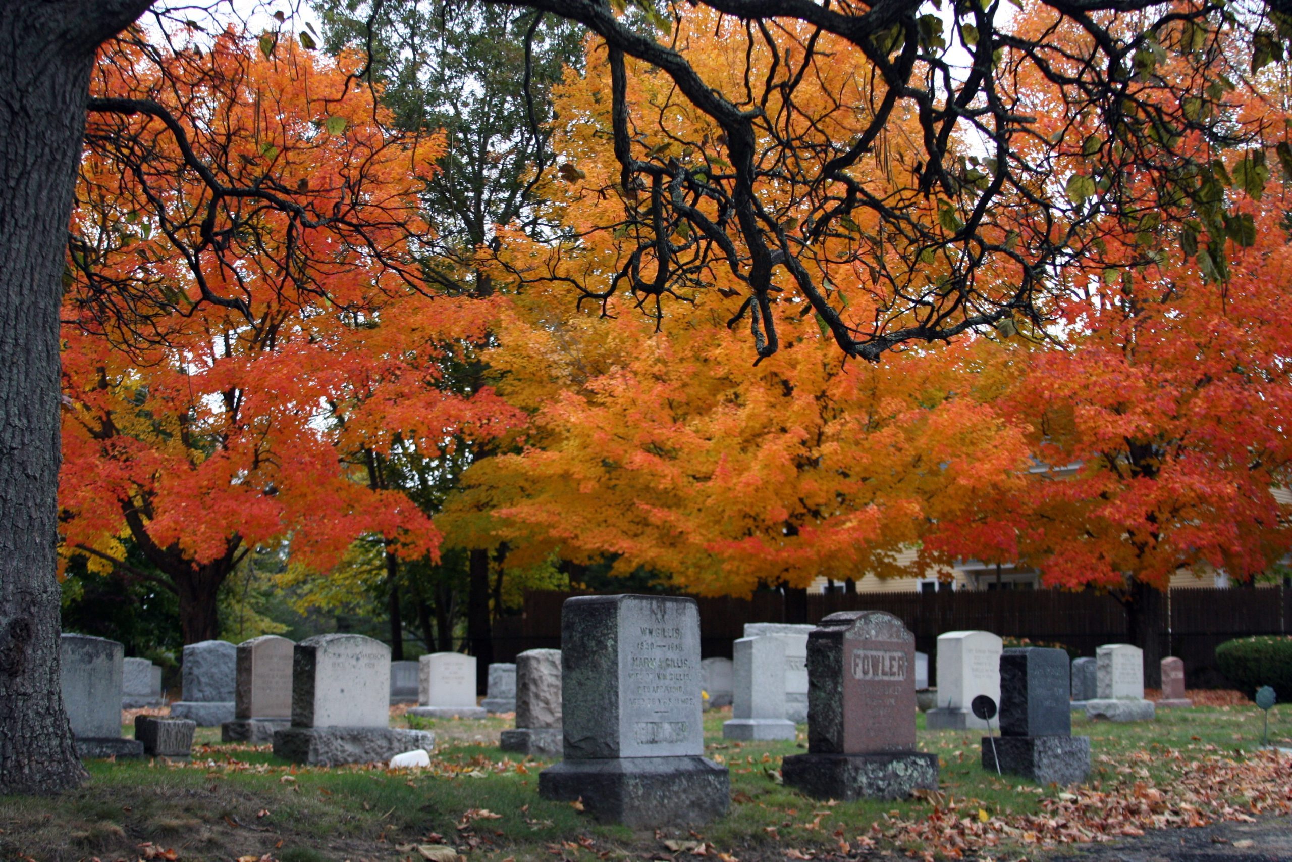 Fall Cemetary (user submitted)