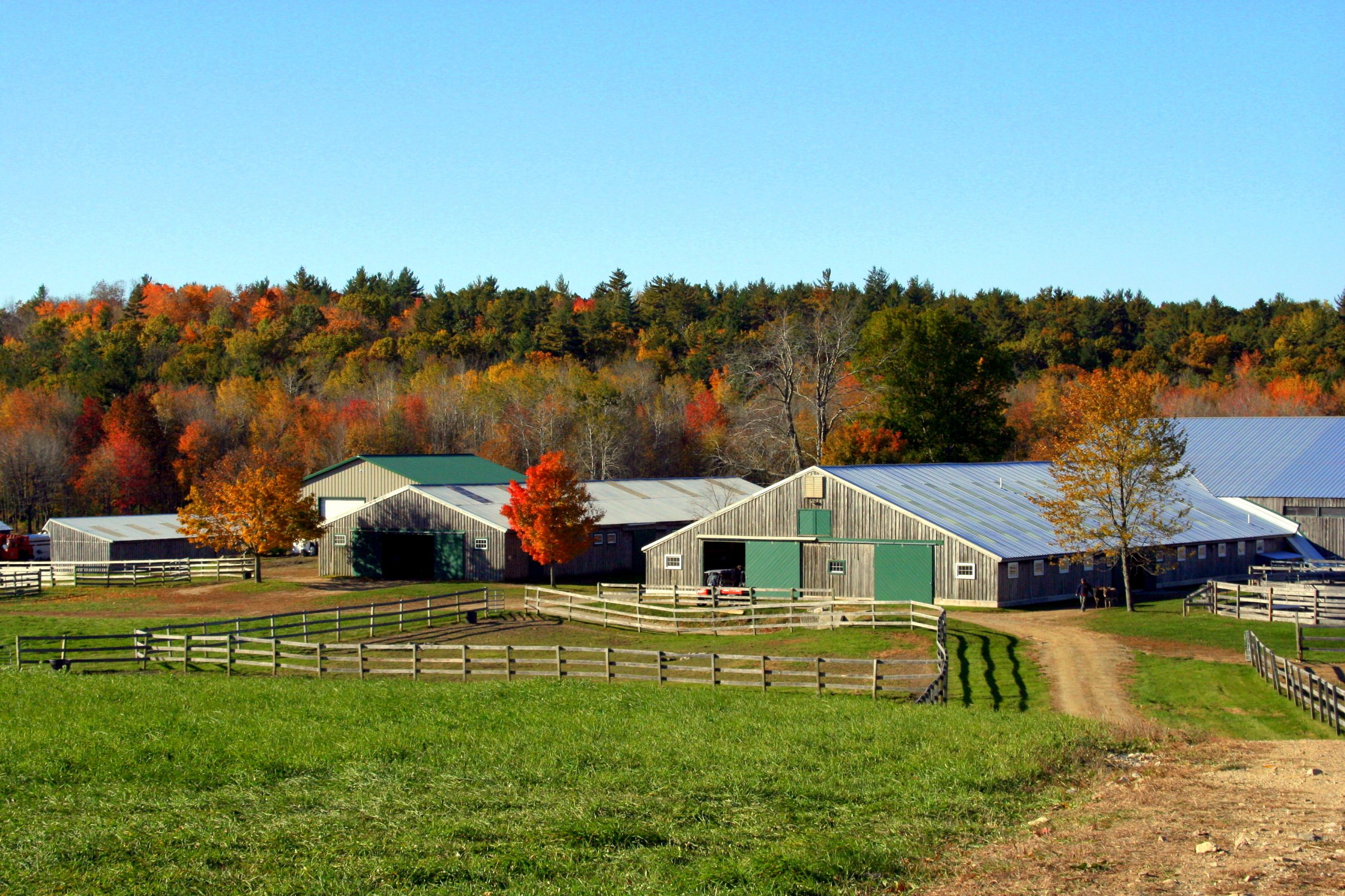 Fall Farm (user submitted)