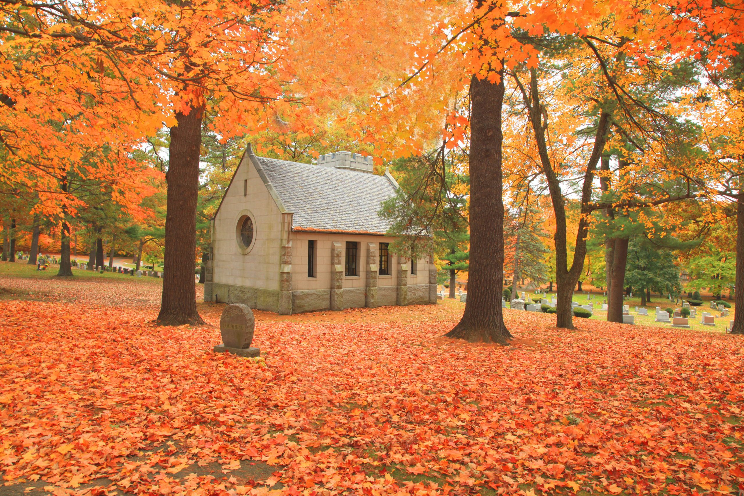 Chapel Among The Leaves (user submitted)