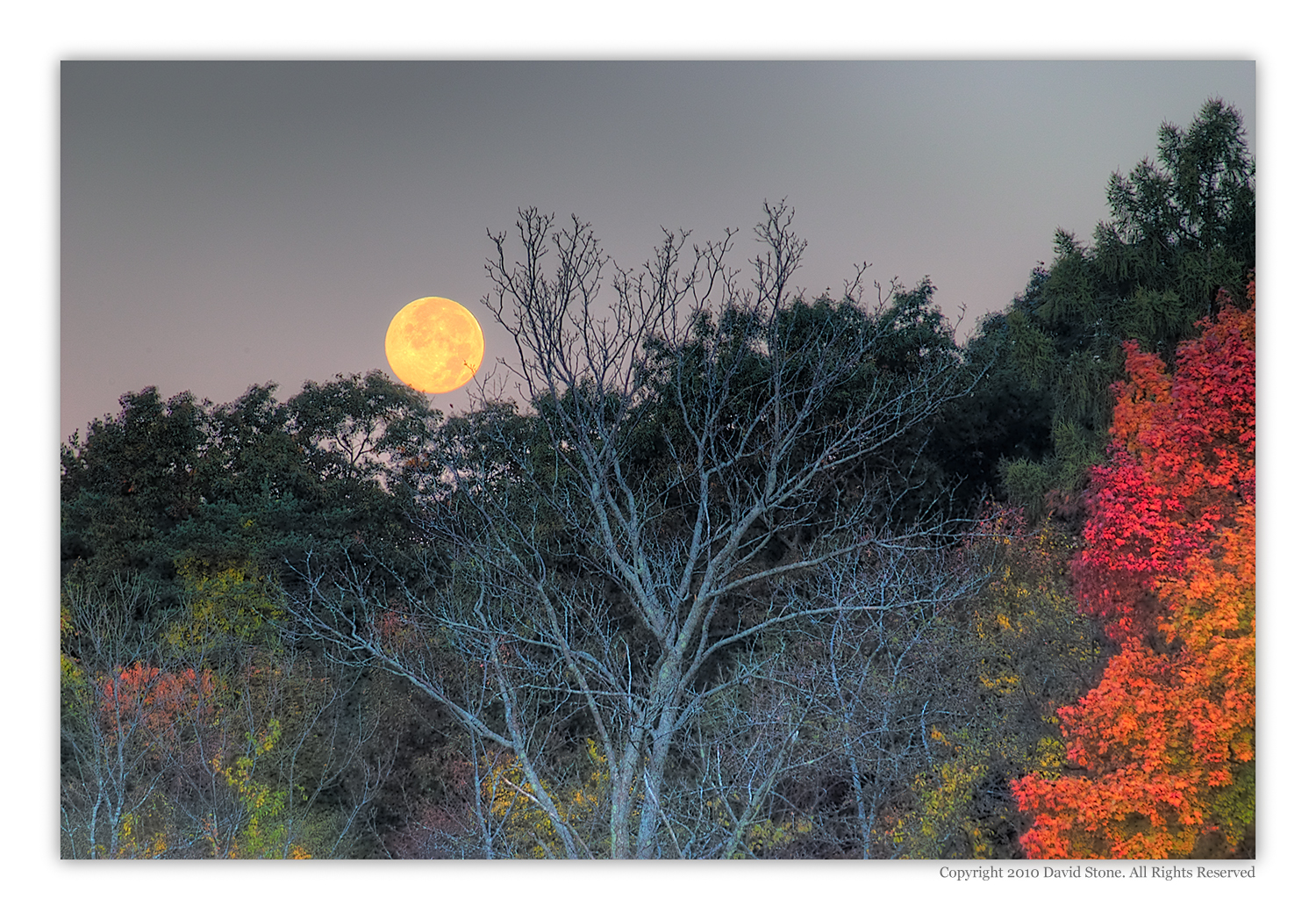 Full Moon At Sunrise (user submitted)