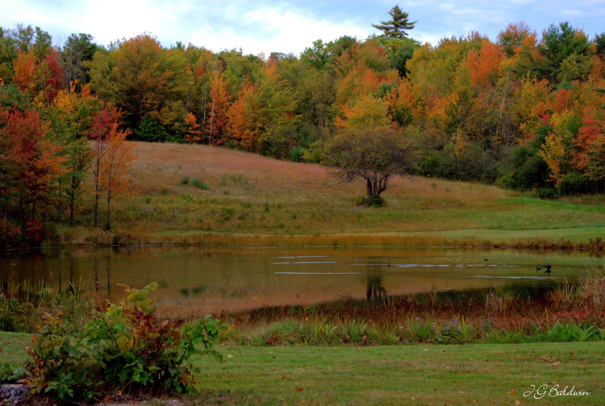 Autumn Pond (user submitted)