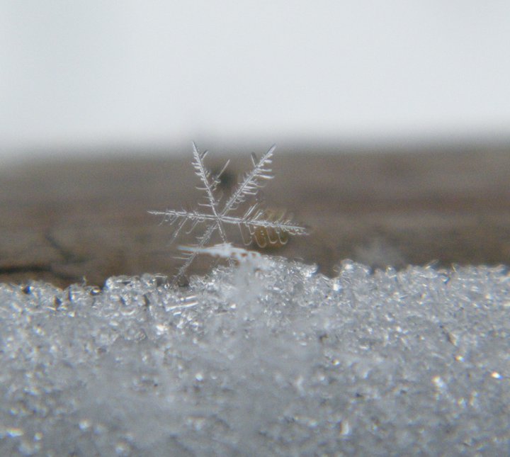 Snowflake Crystal (user submitted)