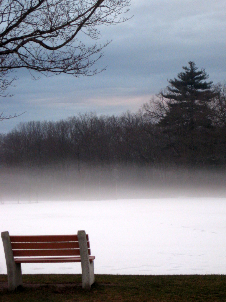 Winter Fog (user submitted)