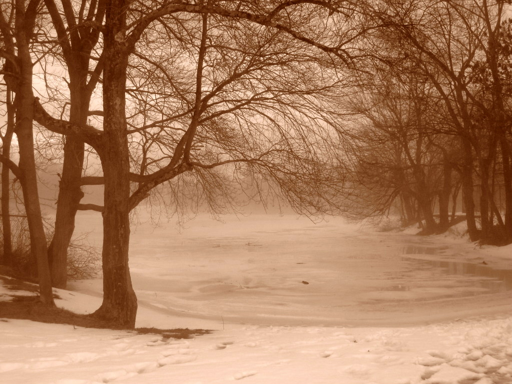 The Stillness Of Winter (user submitted)