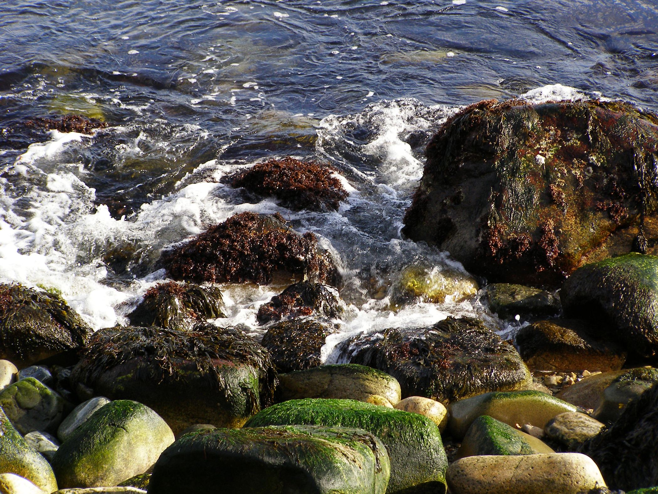 Narragansett Ocean Rocks (user submitted)