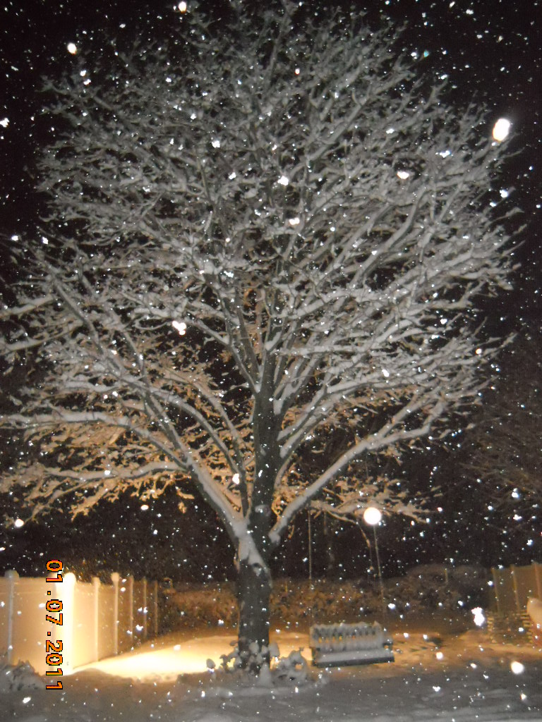 Snowy Night (user submitted)