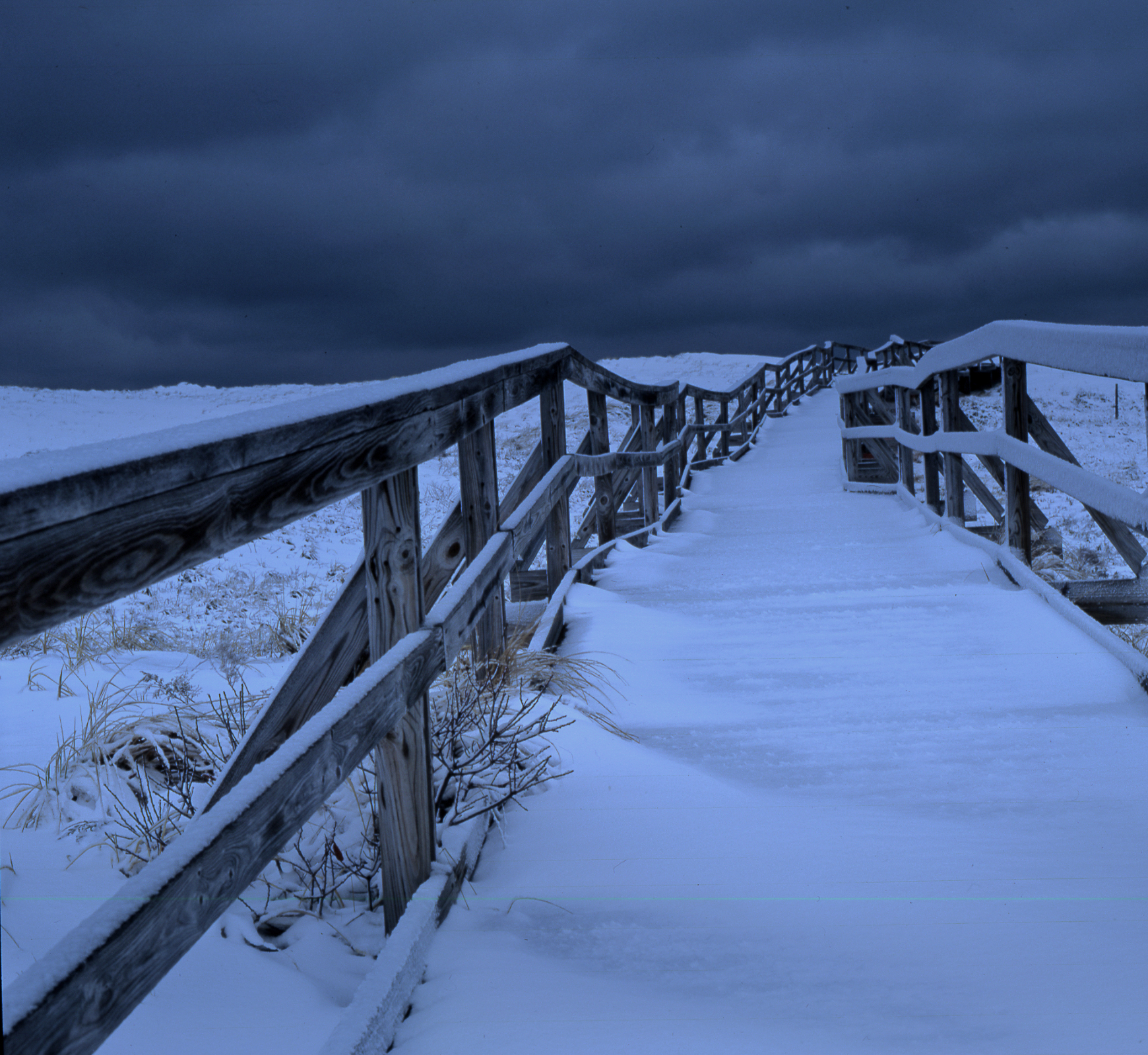 Plum Island Pathway (user submitted)