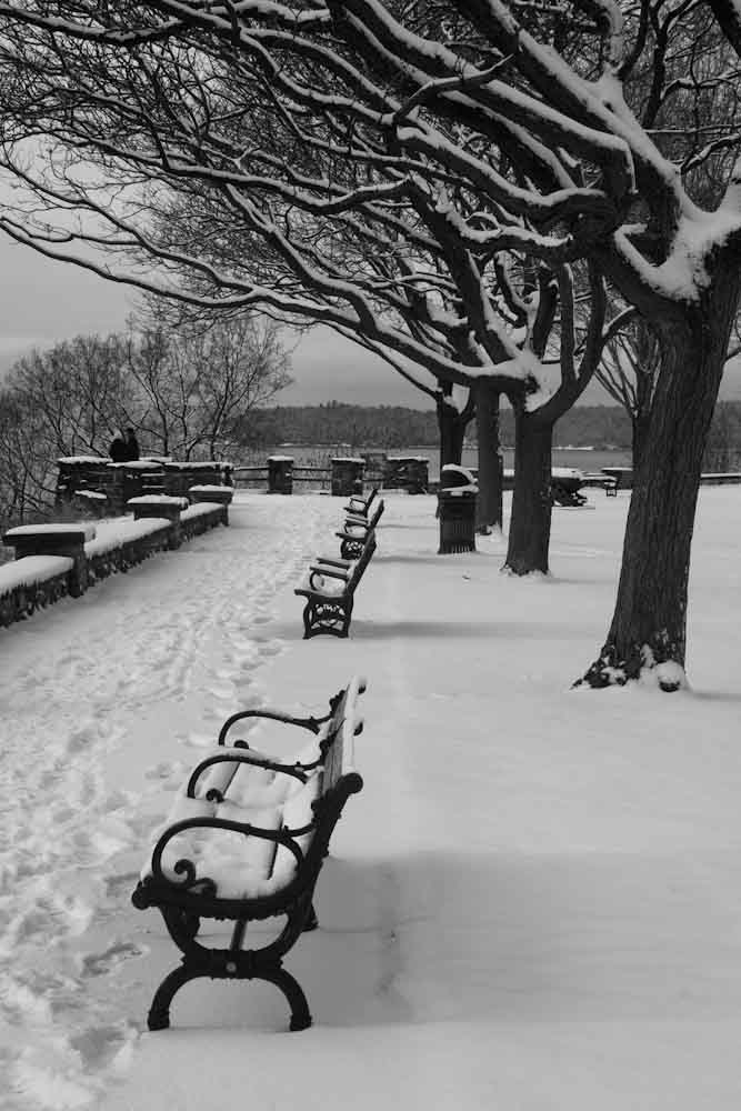 Snowy Benches (user submitted)