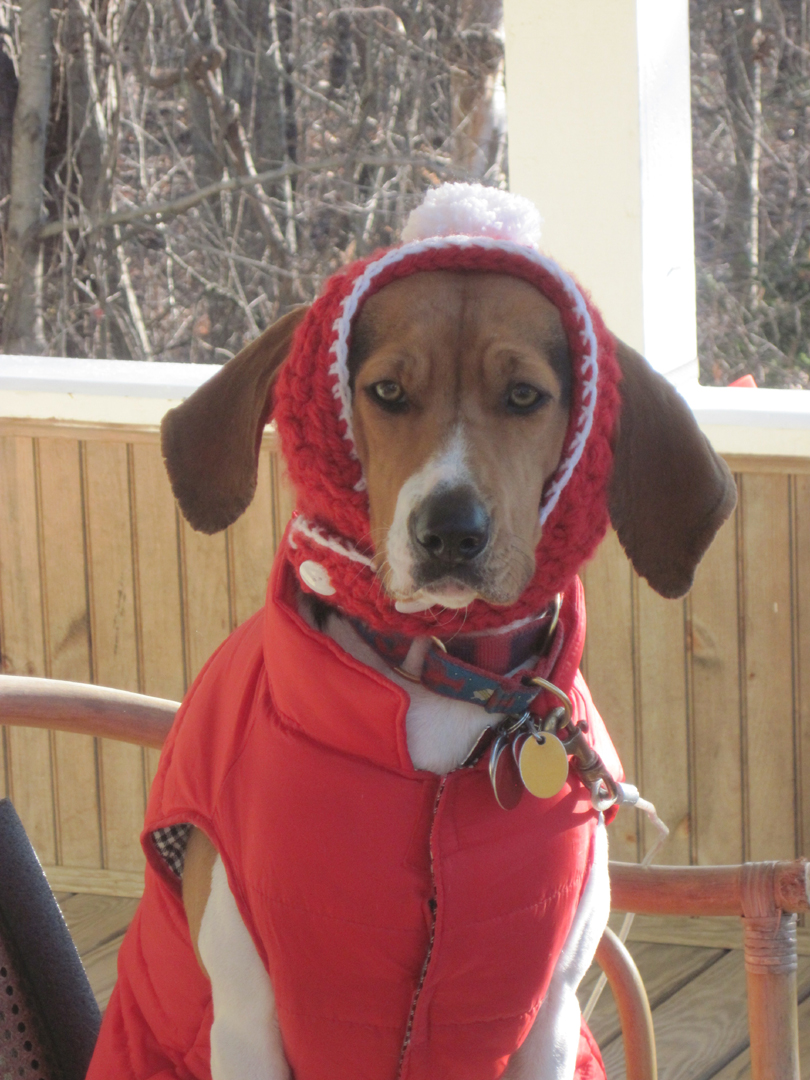 Little Red Riding Hood! (user submitted)