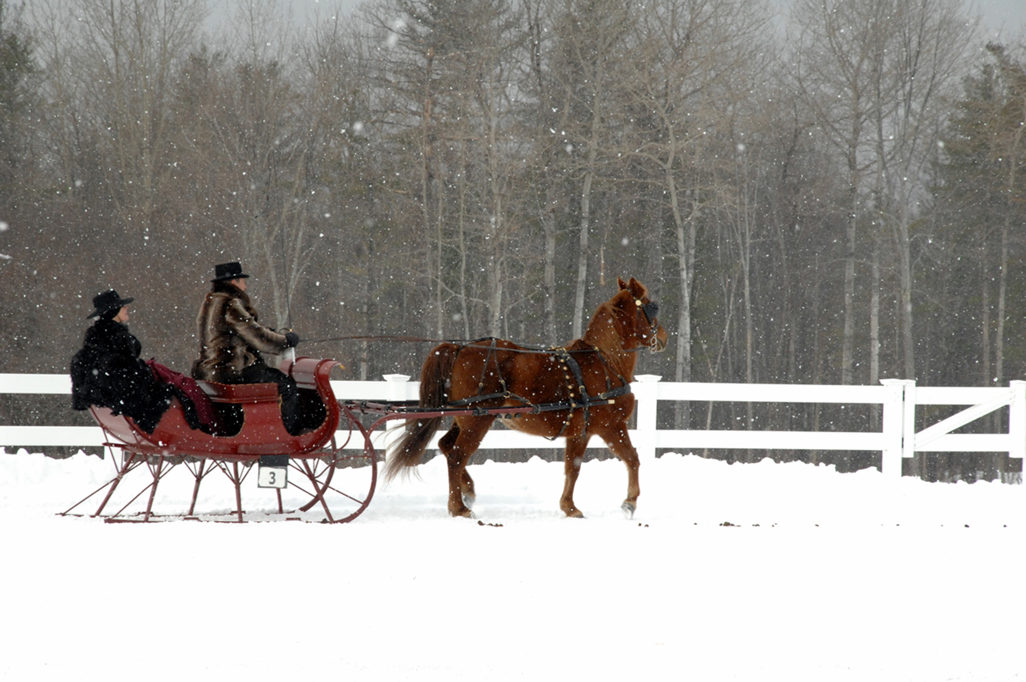 Sleigh Ride In Stockbridge, Ma (user submitted)