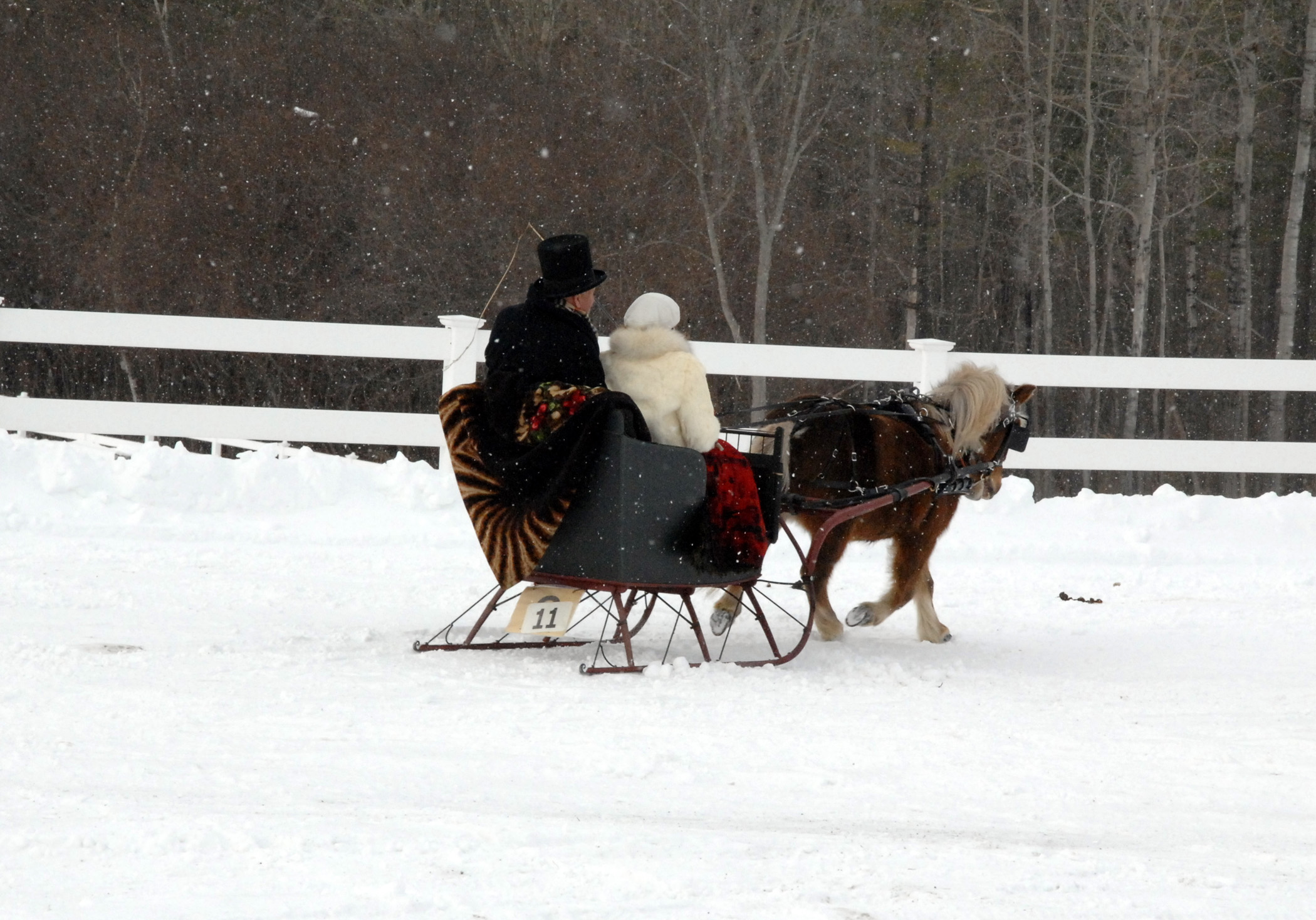 Sleigh Ride In Stockbridge 2 (user submitted)