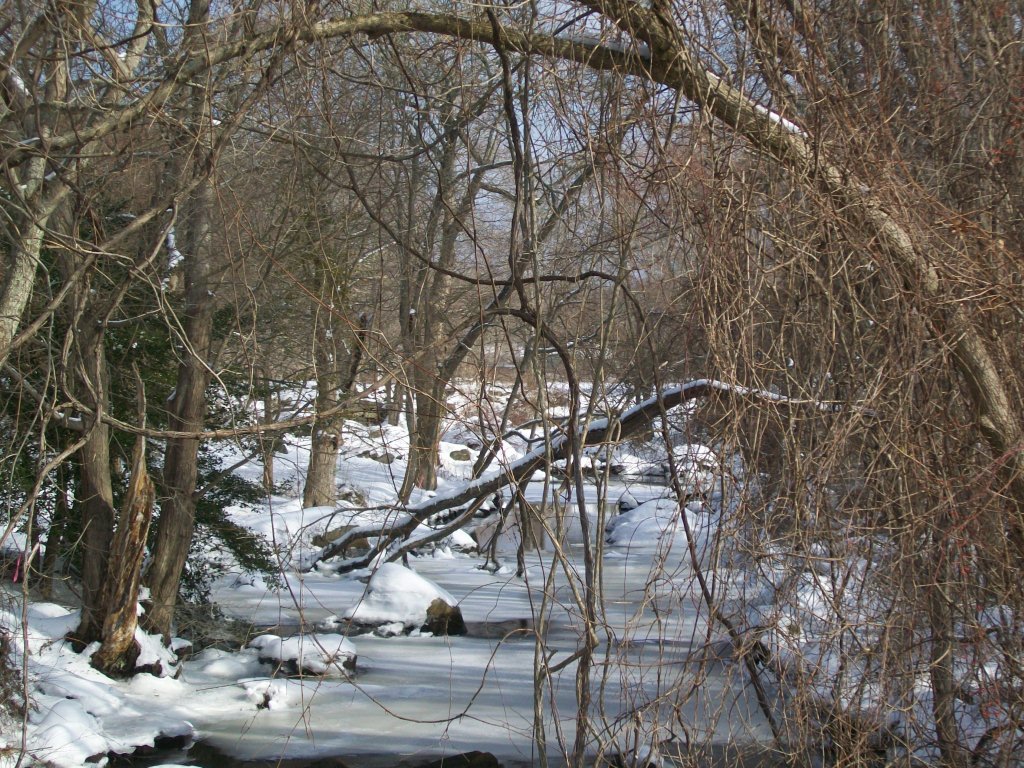 Winter Stream (user submitted)