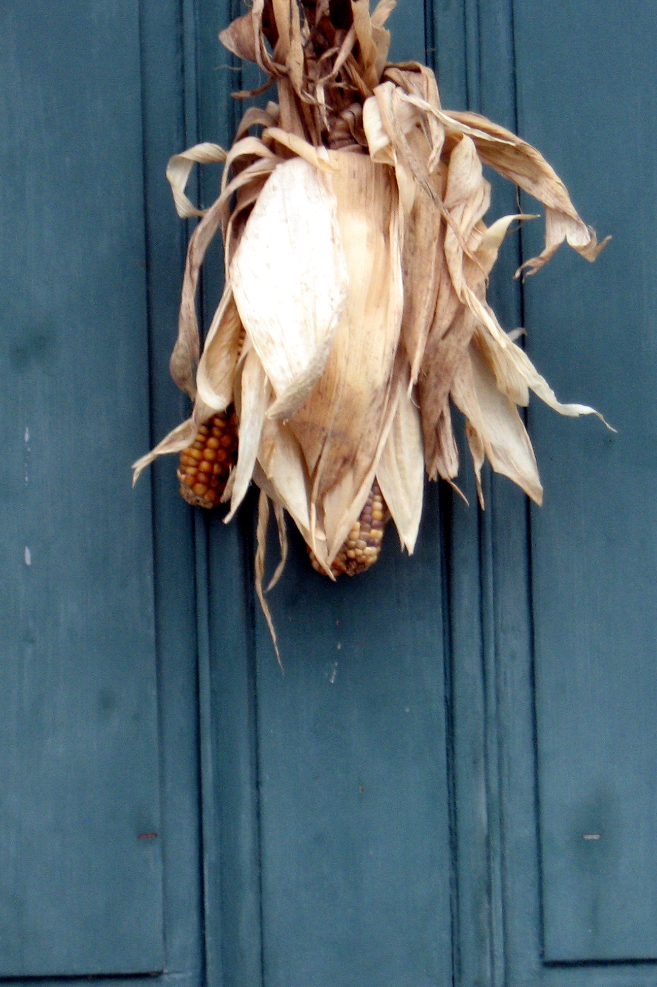 Husked Corn On Door (user submitted)