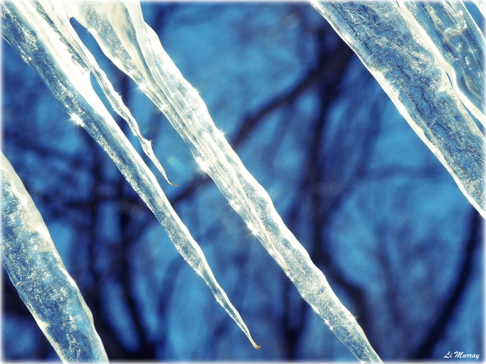 Icicles (user submitted)