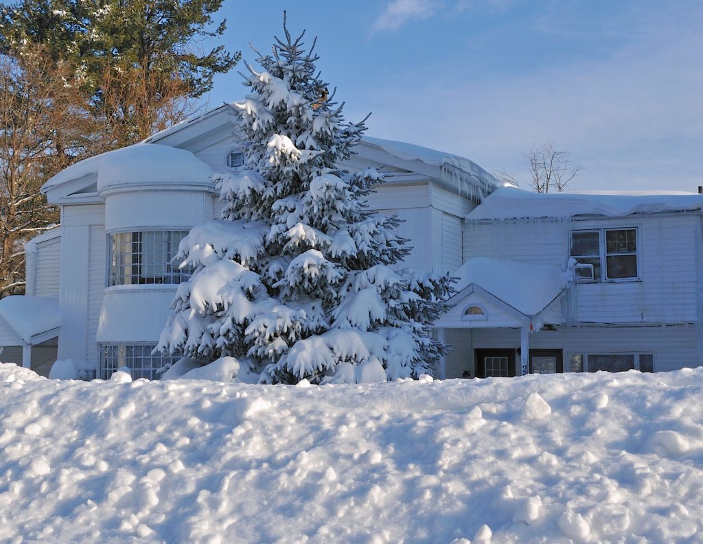 Snow, Snow, And More Snow! New England