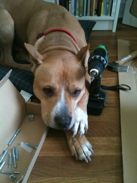 Tonka-i Want To Help Put This Thing Together! (user submitted)