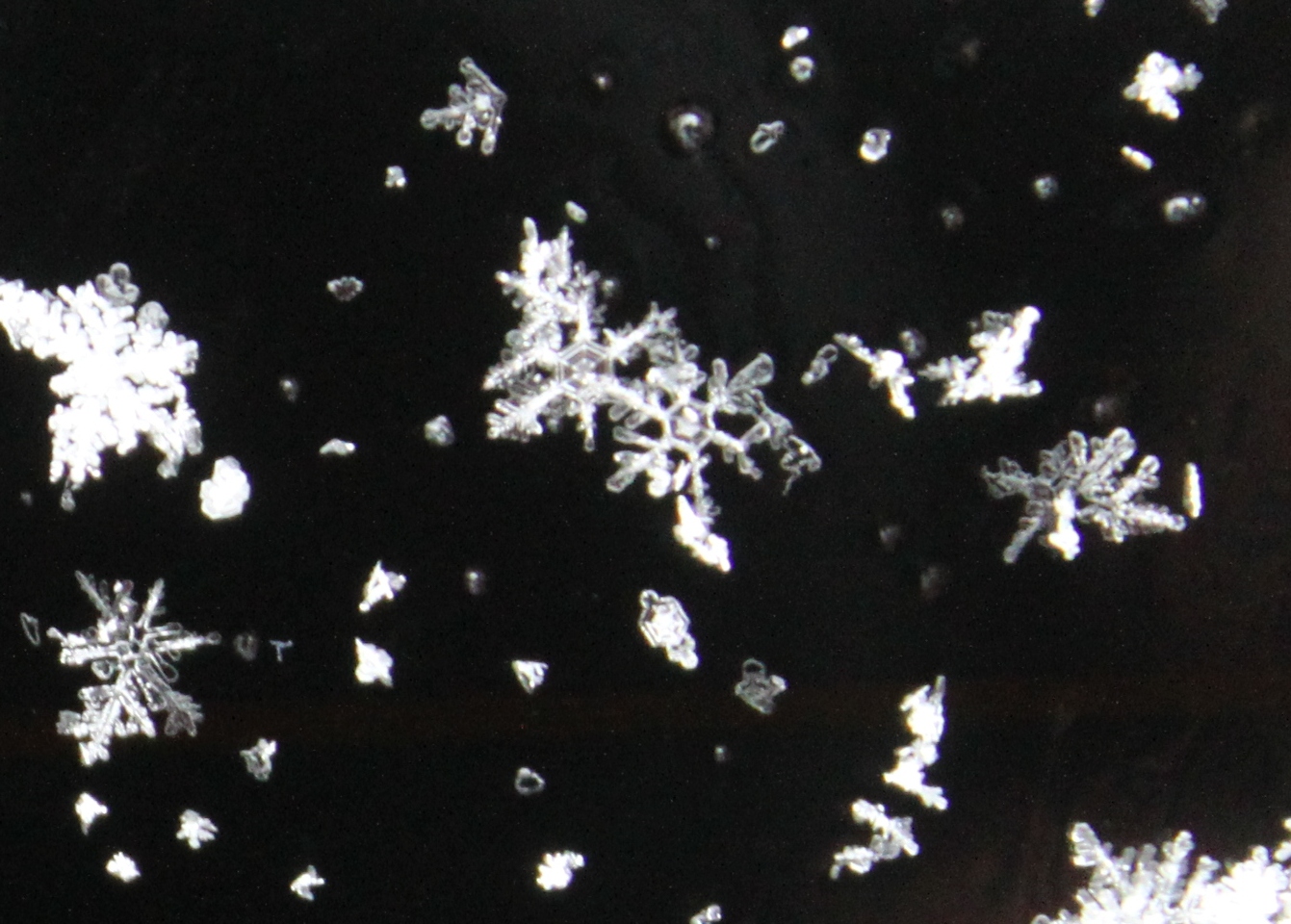 Snowflakes - New England