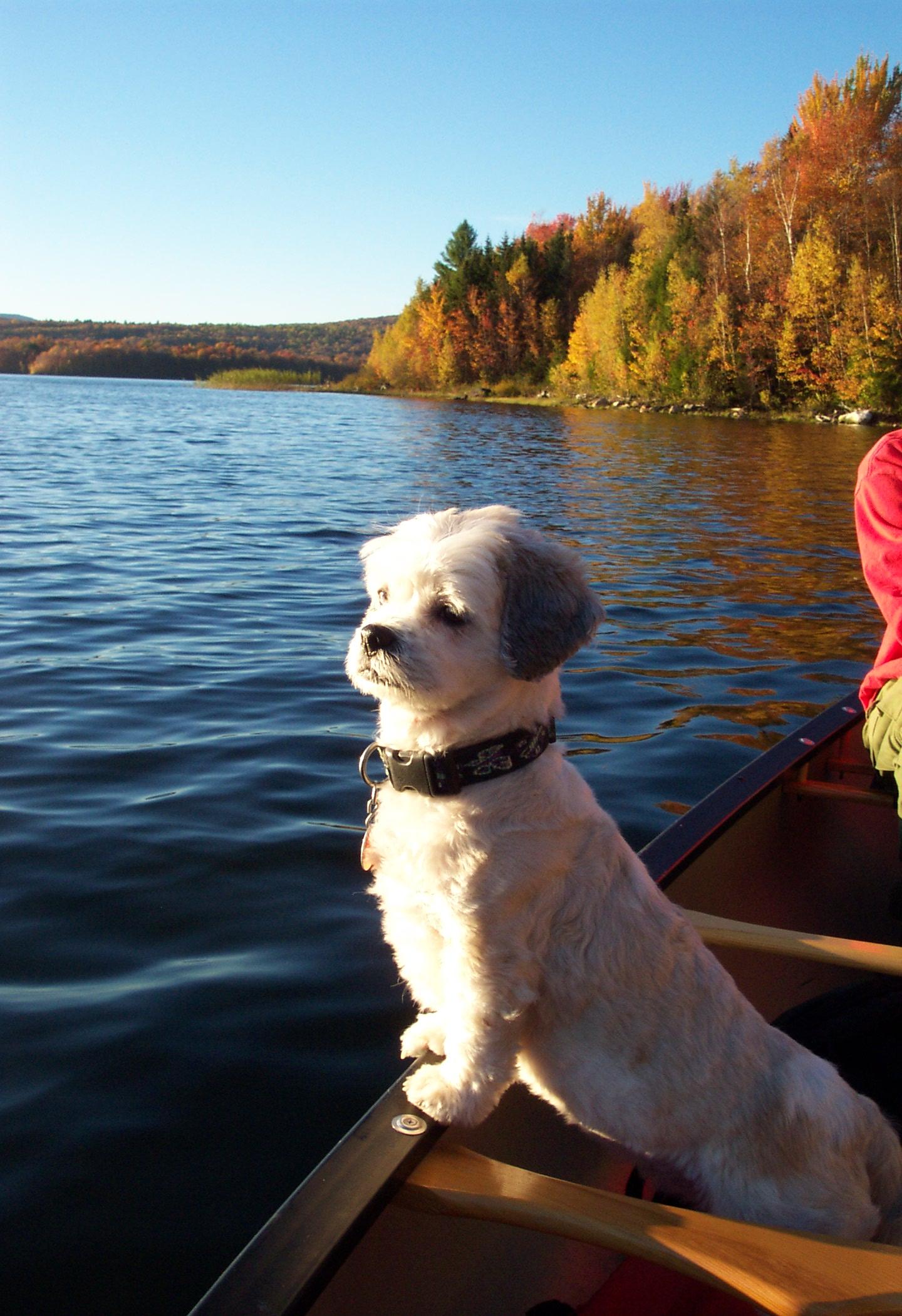 Maggie In The Canoe (user submitted)