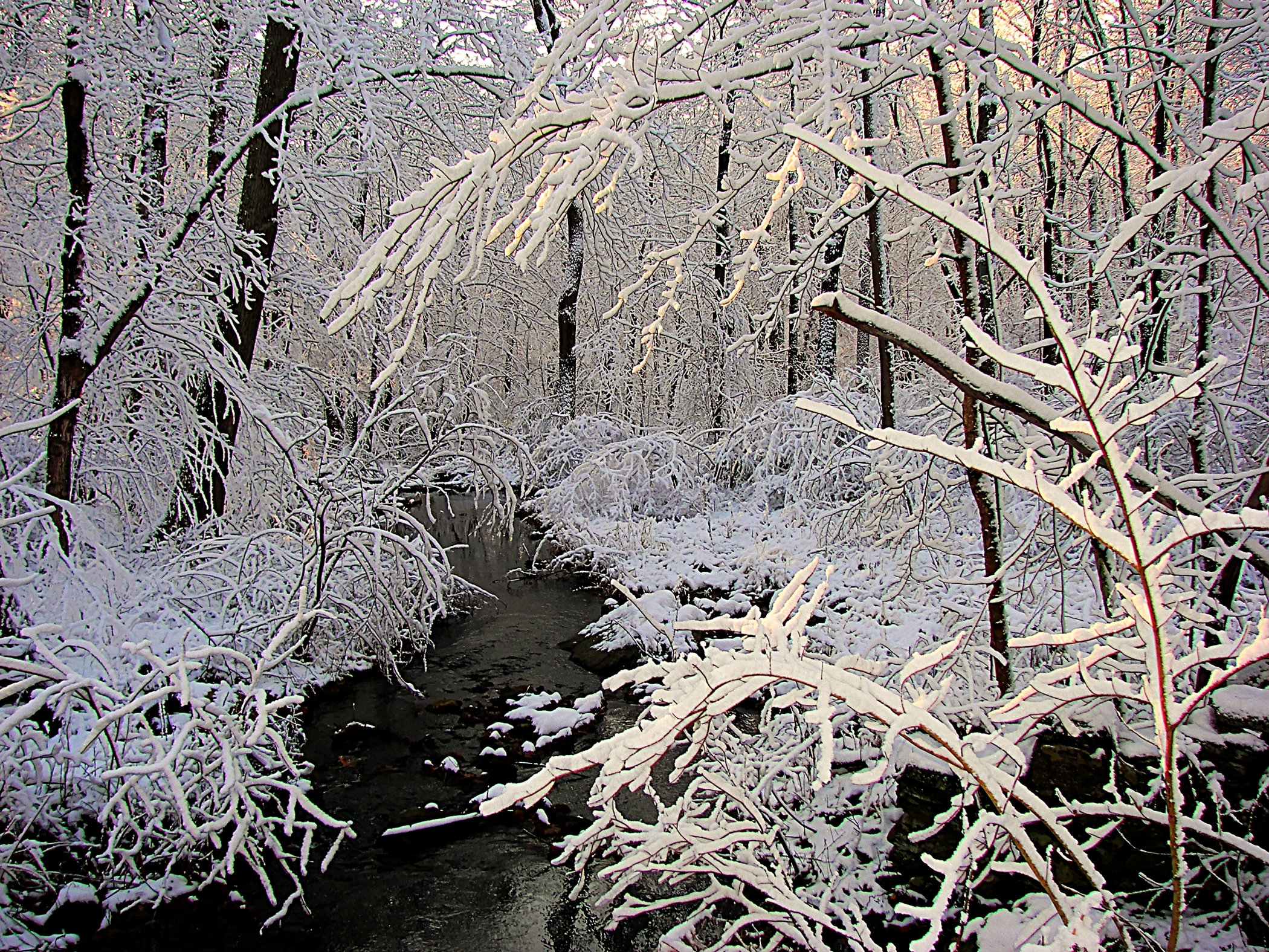 Winter Stream (user submitted)