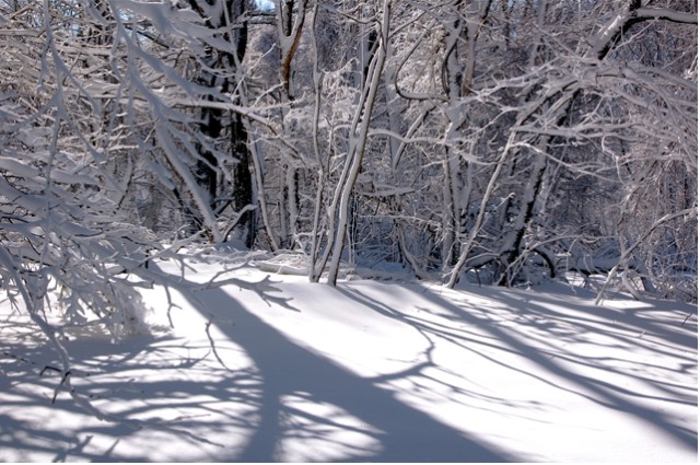 Winter Shadows (user submitted)