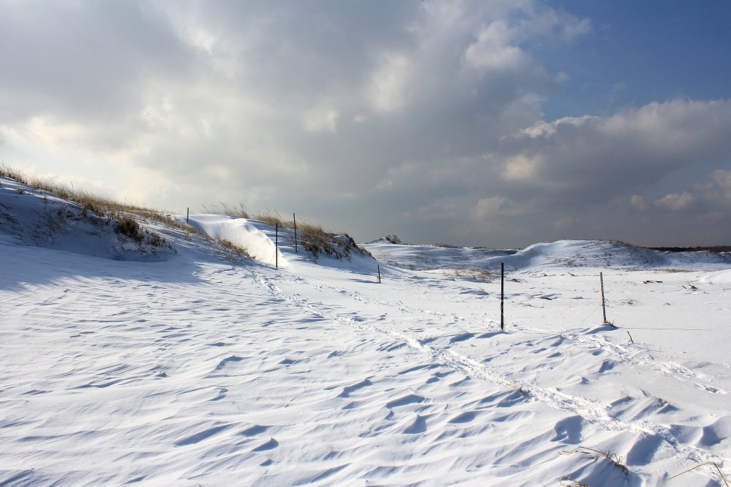 Snowshoeing At Crane Beach New England