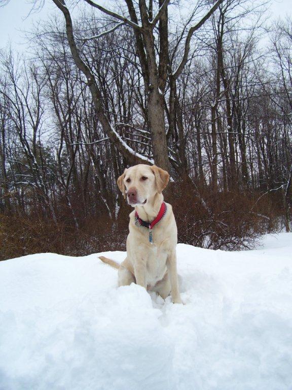 Loves Thesnow (user submitted)