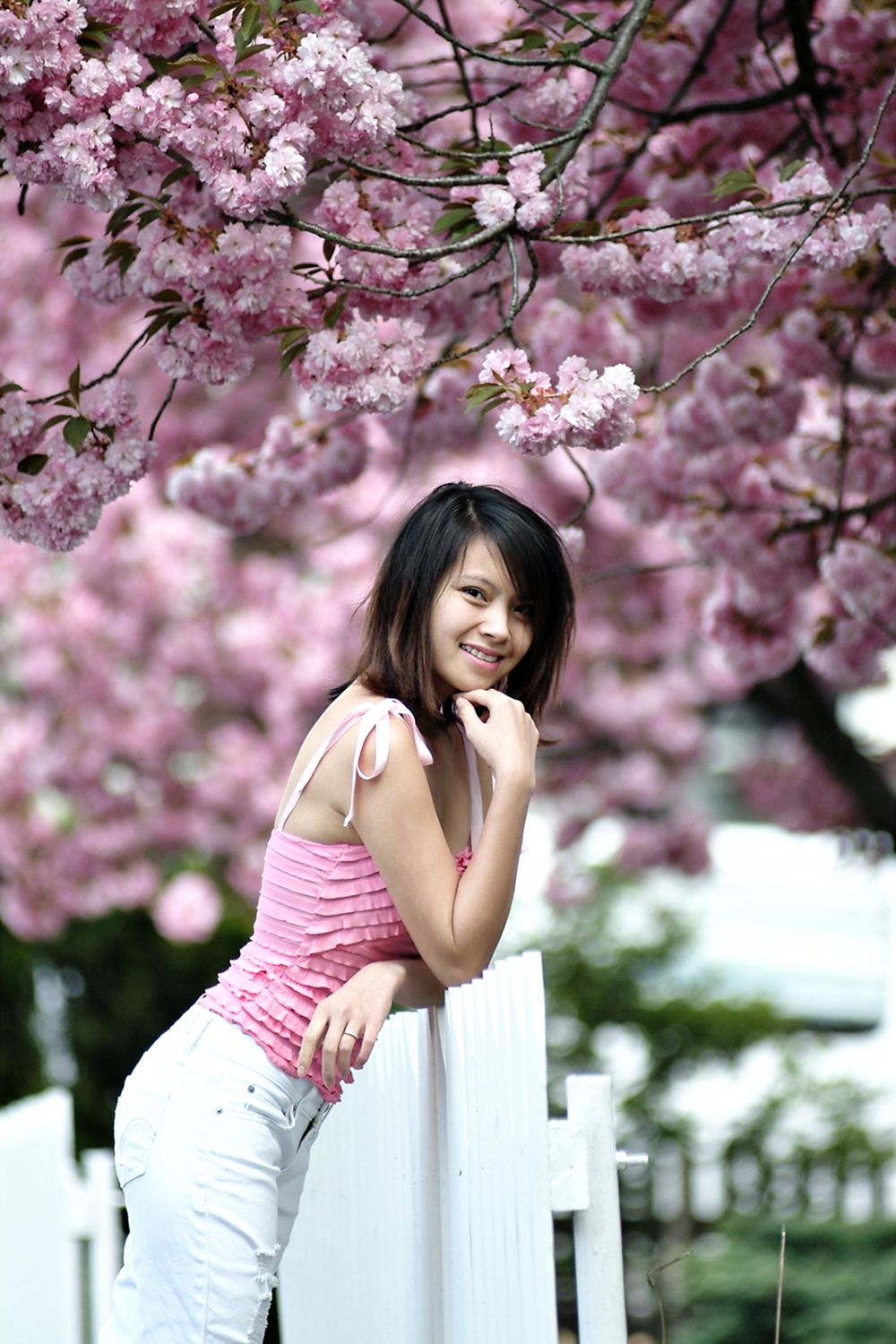 Cherry Blossom (user submitted)