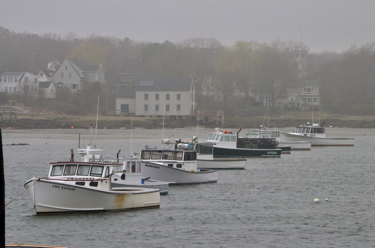 April In Cape Porpoise (user submitted)