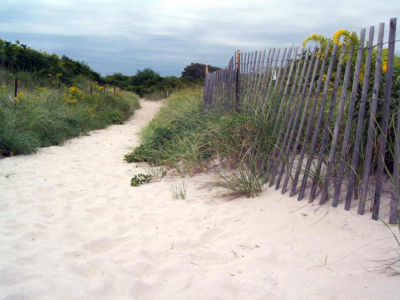 Beach Path (user submitted)