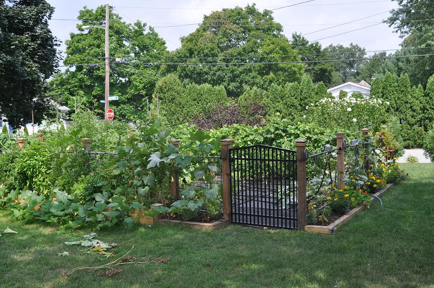 2010 Vegetable Garden (user submitted)