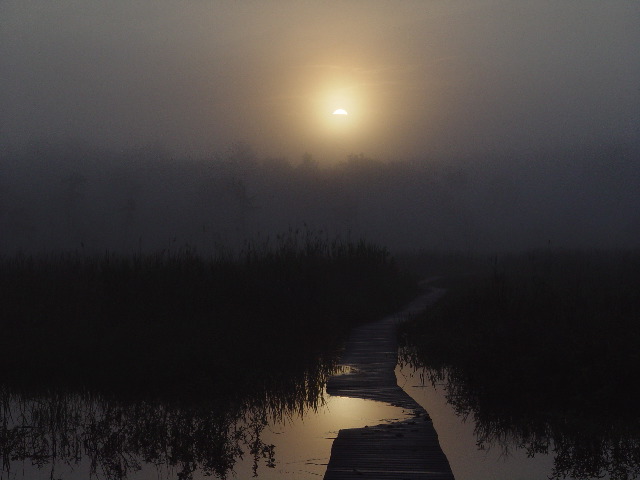 Boardwalk Sunrise w/reflection (user submitted)