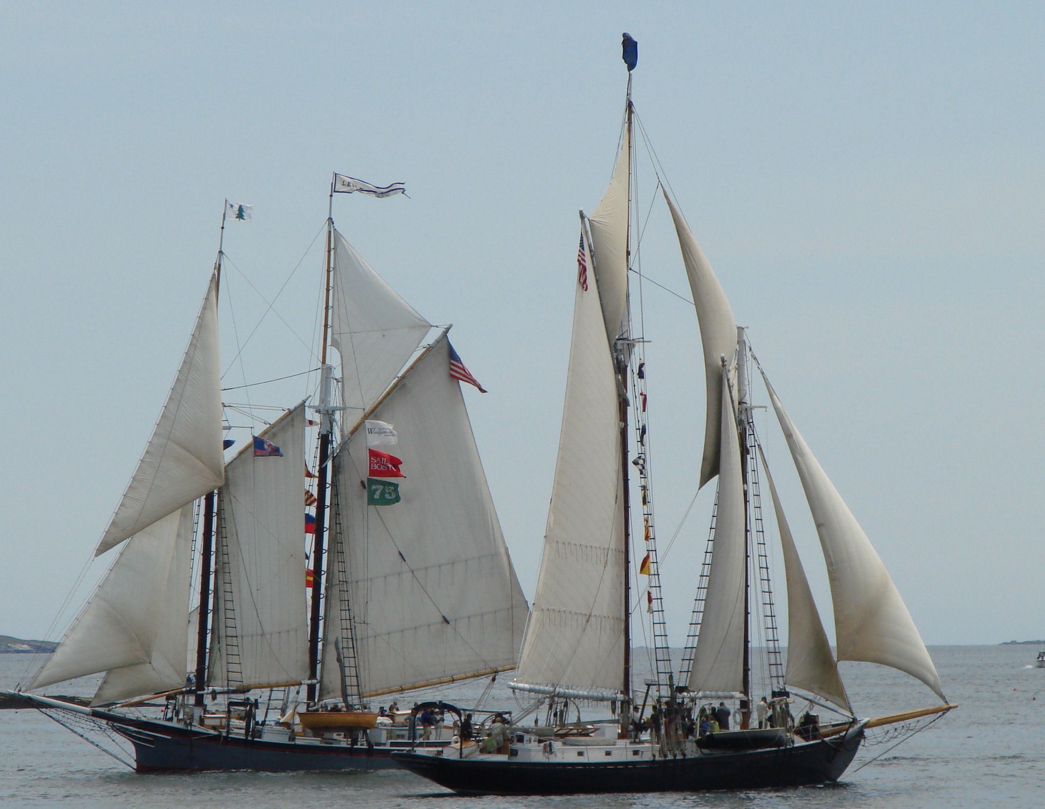 Windjammer Days-boothbay, Me (user submitted)
