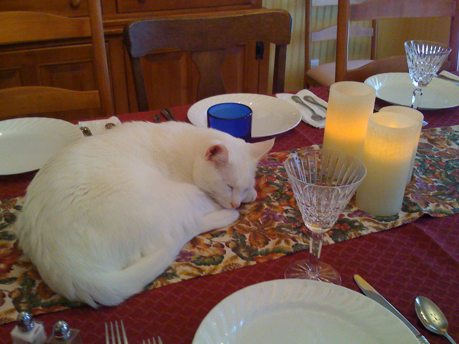 Waiting For Dinner (user submitted)