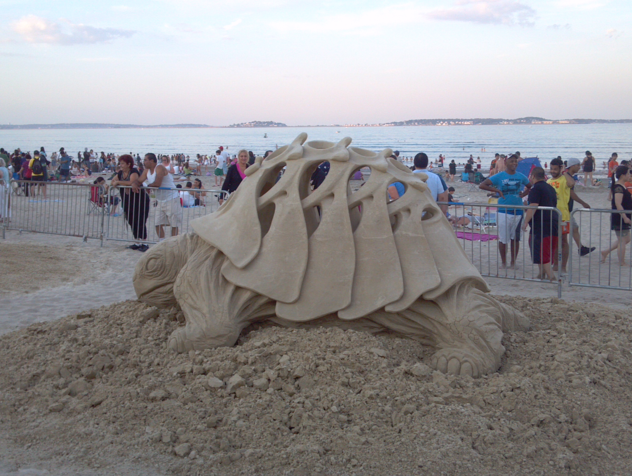Docile Turtle Sand Sculpture (user submitted)