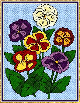 Pansies (user submitted)