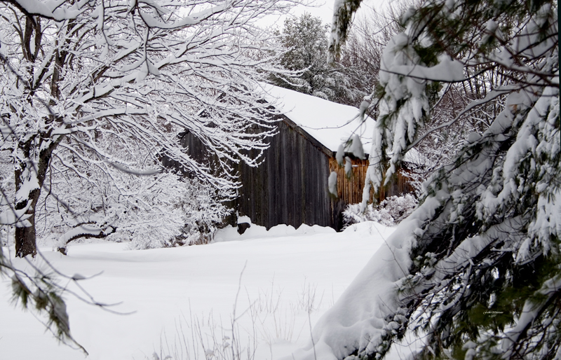 An Old Barn Covered In Fresh Snow (user submitted)
