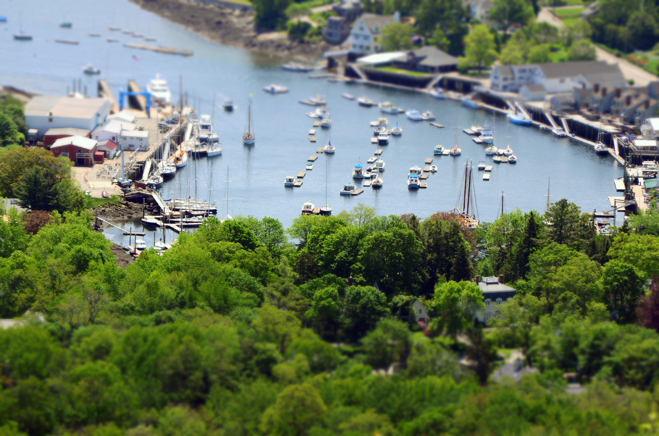 Mini View From Mt Battie (user submitted)