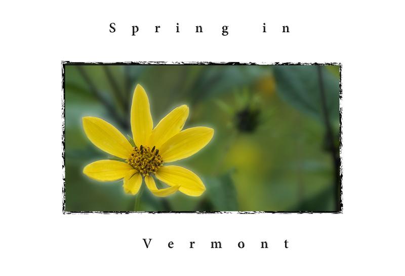 Spring in Vermont (user submitted)