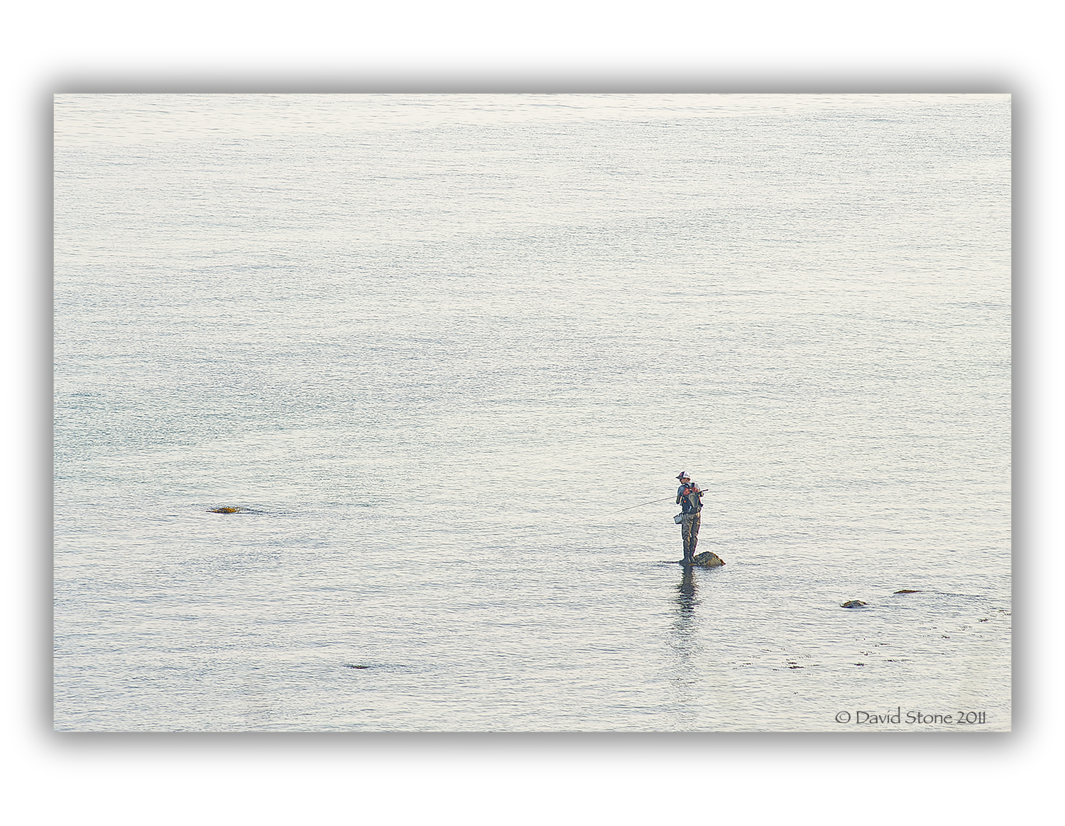 Fly Fishing &#8211; Vineyard Sound (user submitted)