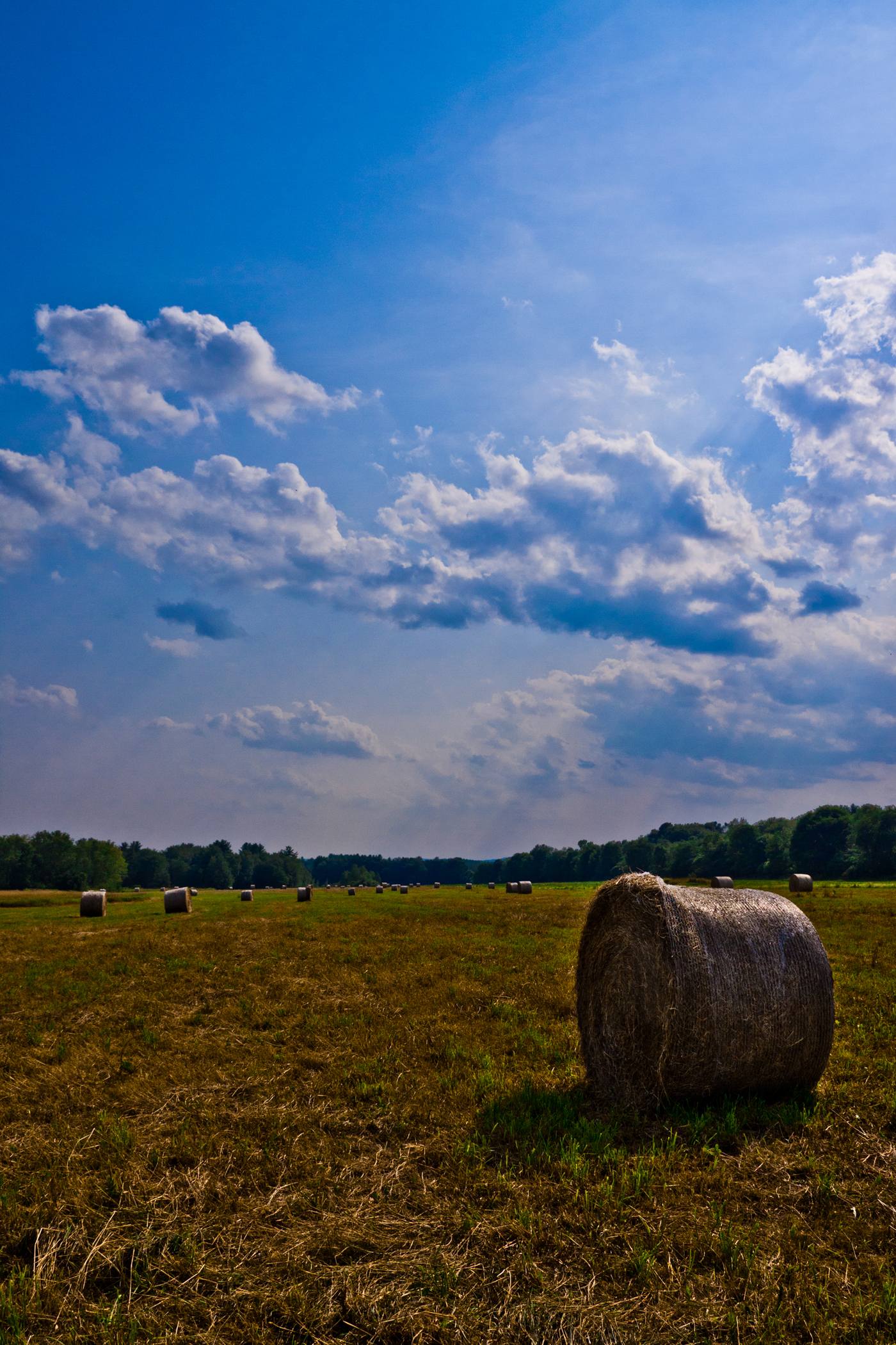 Summer Hay Bale (user submitted)