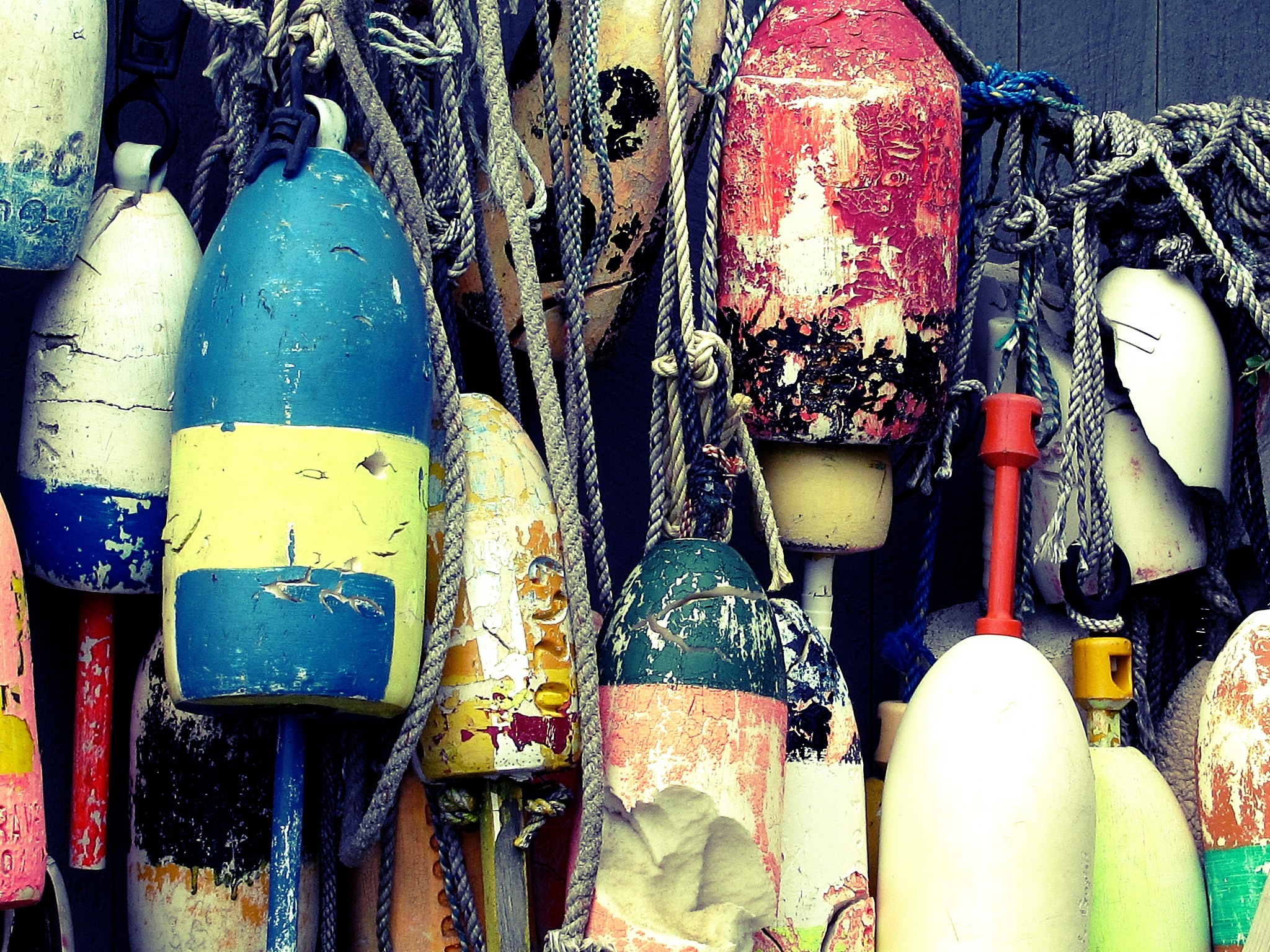Summer Buoys (user submitted)
