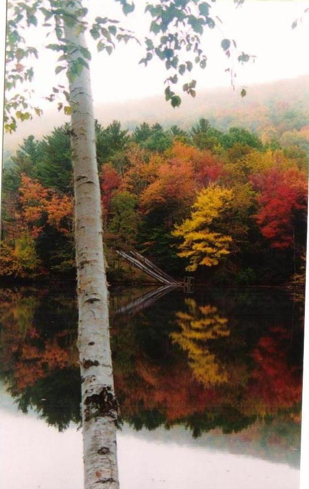 Vermont Fall (user submitted)