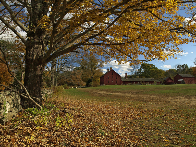 Nathan Hale Homestead (user submitted)