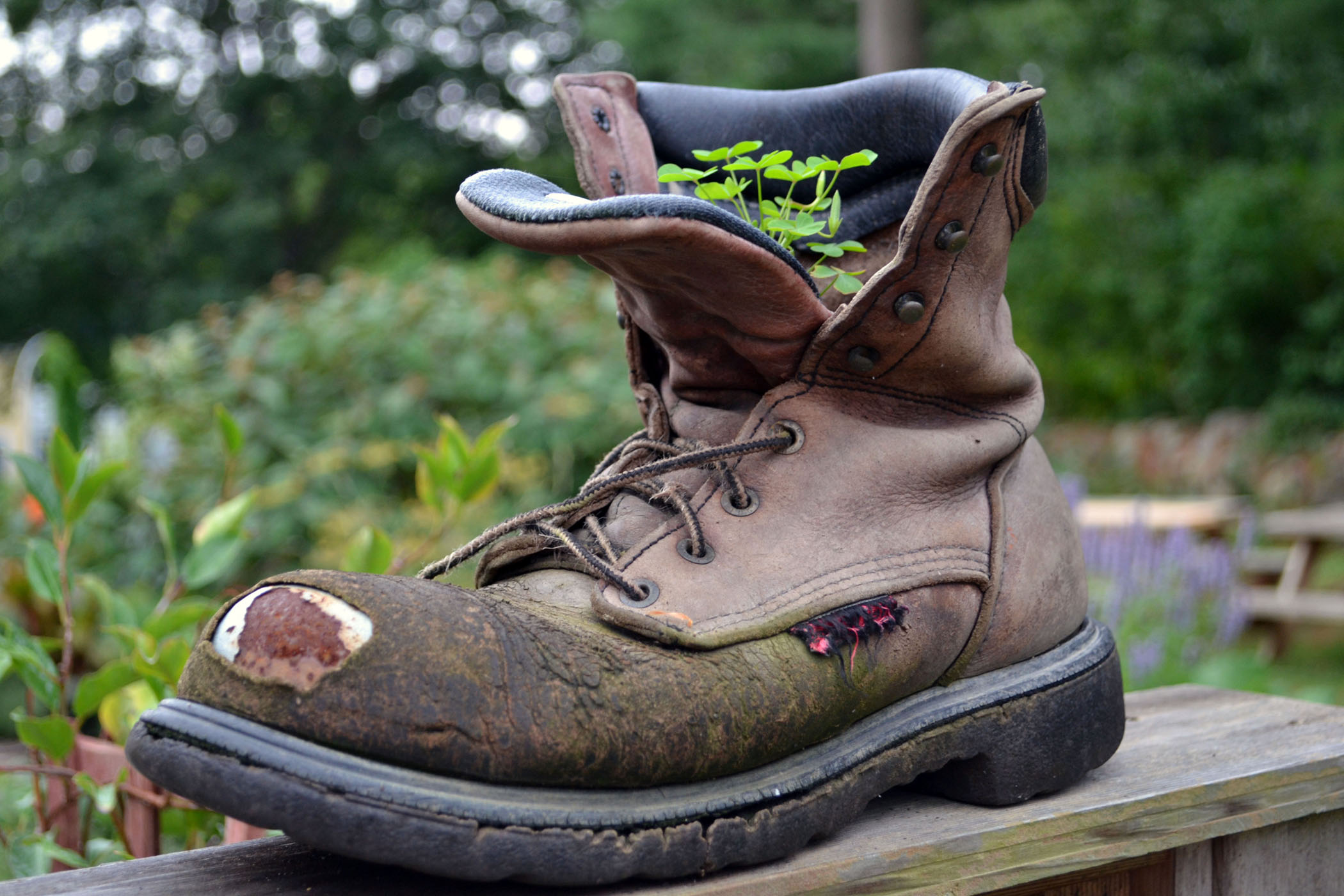 Garden Boot (user submitted)