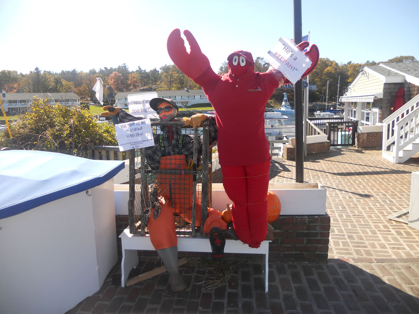 Lobster And A Scarecrow  In A Trap  (user submitted)