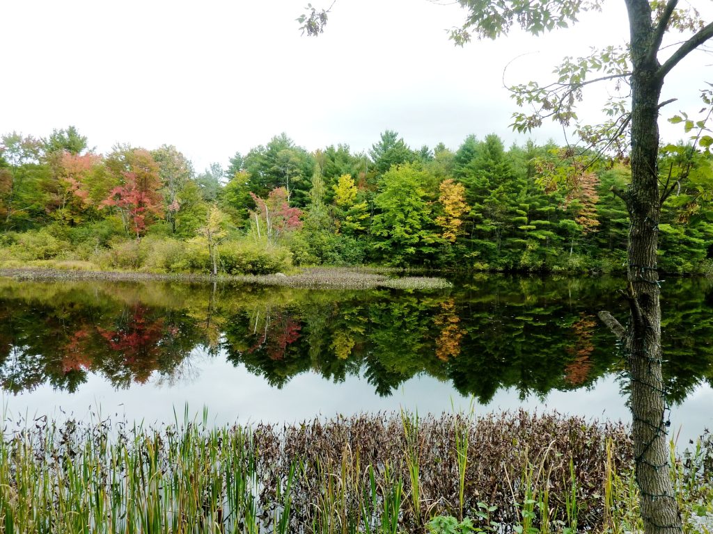 Mirrored Splendor - New England