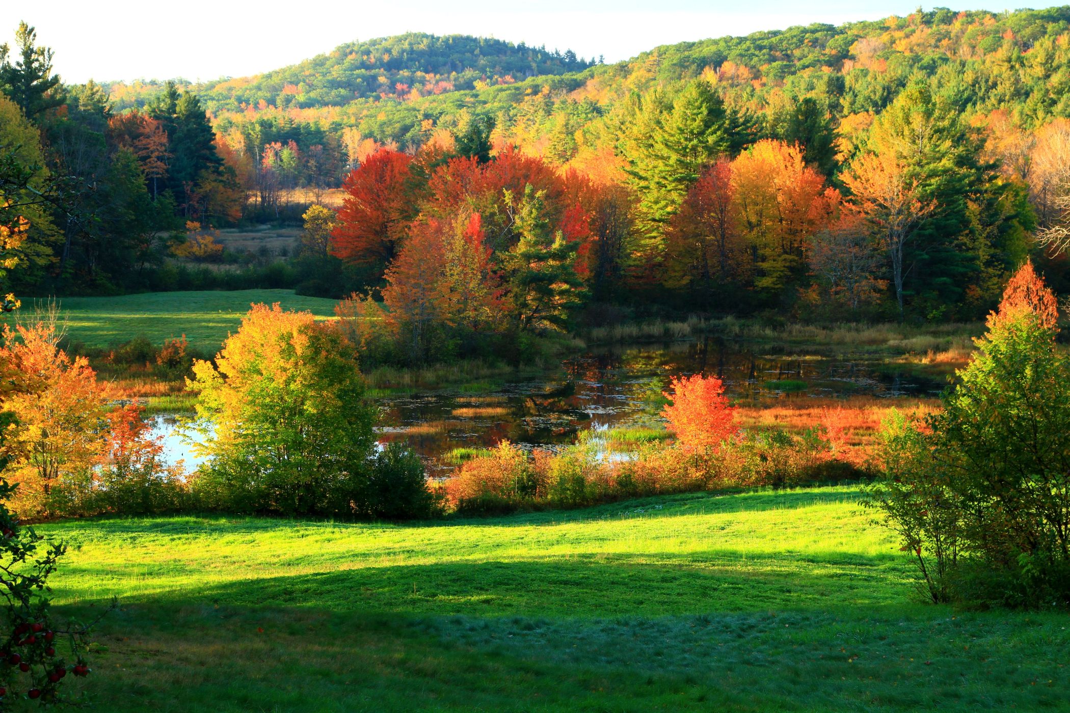 Fall Colors New England